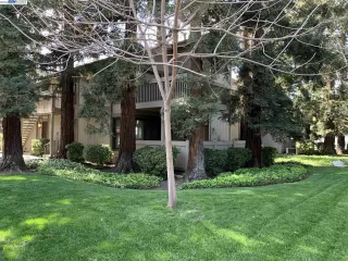 Photo #2: 41025909 Listing