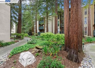 Photo #1: 41026132 Listing