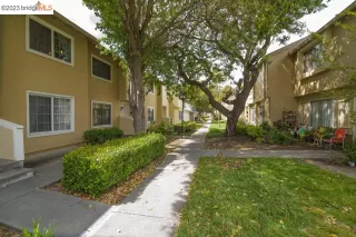 Photo #1: 41026296 Listing