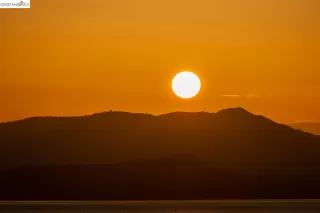 Photo #1: 41026602 Listing