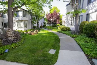 Photo #1: 41026773 Listing 