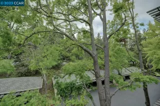 Photo #6: 41026895 Listing