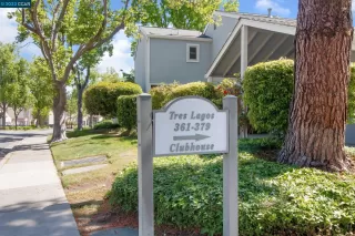 Photo #1: 41027419 Listing