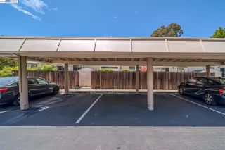 Photo #3: 41027718 Listing 