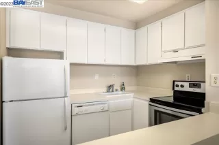 Photo #1: 41027761 Listing