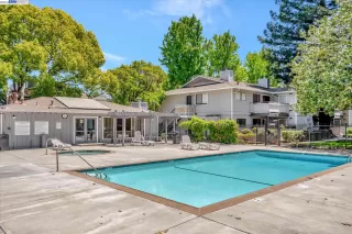 Photo #1: 41027774 Listing