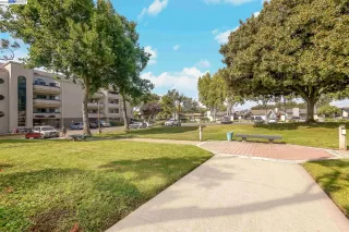 Photo #5: 41027788 Listing