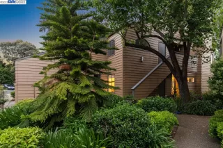 Photo #4: 41028104 Listing 