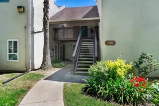 Photo #1: 41028320 Listing