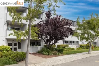 Photo #1: 41028365 Listing