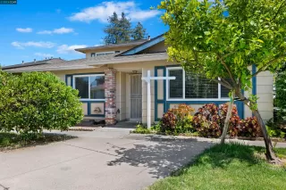 Photo #1: 41028444 Listing