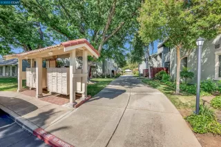 Photo #3: 41028477 Listing 