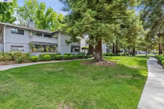 Photo #1: 41028532 Listing