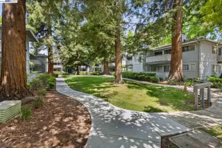 Photo #4: 41028532 Listing