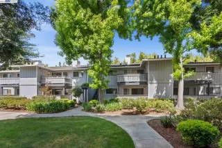 Photo #5: 41028532 Listing