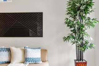 Photo #6: 41028539 Listing