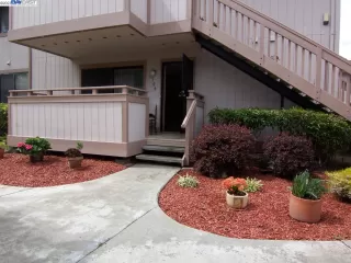 Photo #1: 41028541 Listing