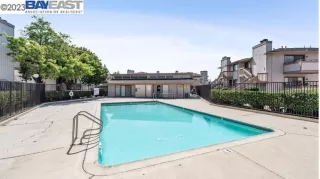 Photo #2: 41028541 Listing