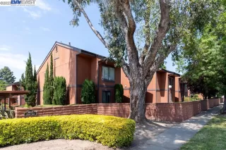 Photo #1: 41028763 Listing