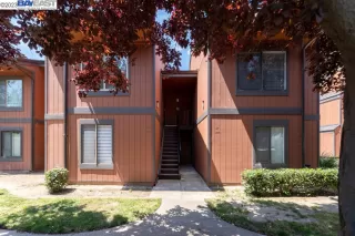 Photo #3: 41028763 Listing