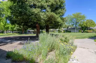 Photo #1: 41028817 Listing