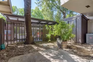 Photo #5: 41028817 Listing