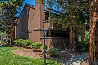 Photo #1: 41028940 Listing