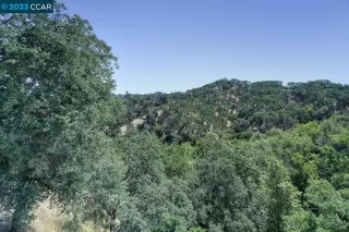 Photo #4: 41029054 Listing 