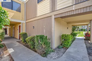 Photo #5: 41029265 Listing