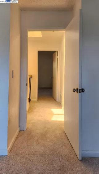 Photo #2: 41029514 Listing 