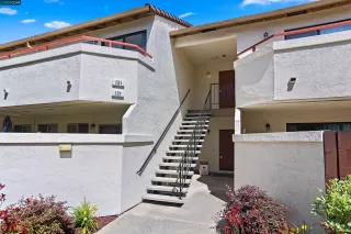 Photo #1: 41029816 Listing 