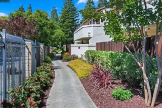 Photo #2: 41029816 Listing 