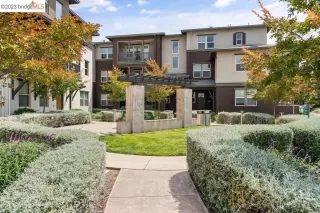 Photo #1: 41030202 Listing