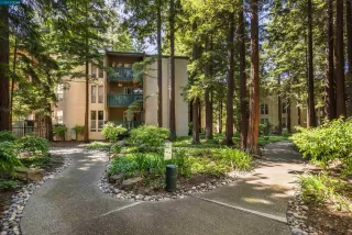 Photo #6: 41030307 Listing