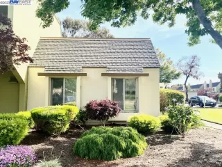 Photo #1: 41030506 Listing