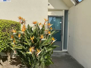 Photo #2: 41030506 Listing