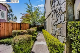 Photo #1: 41030592 Listing