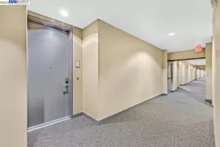 Photo #1: 41030648 Listing