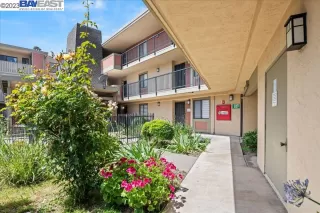 Photo #3: 41030655 Listing