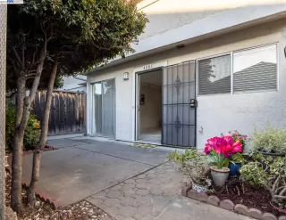 Photo #2: 41030767 Listing 