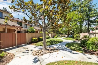 Photo #3: 41030835 Listing