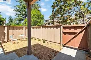 Photo #5: 41030835 Listing