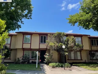 Photo #1: 41030877 Listing