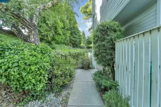 Photo #1: 41030918 Listing 