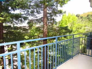 Photo #5: 41031016 Listing 