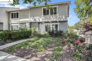 Photo #1: 41031063 Listing 