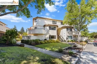 Photo #1: 41031068 Listing