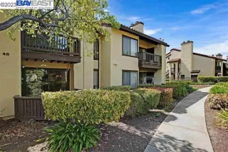 Photo #1: 41031103 Listing 