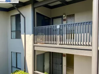 Photo #1: 41031252 Listing 