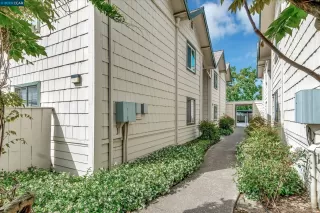 Photo #1: 41031259 Listing